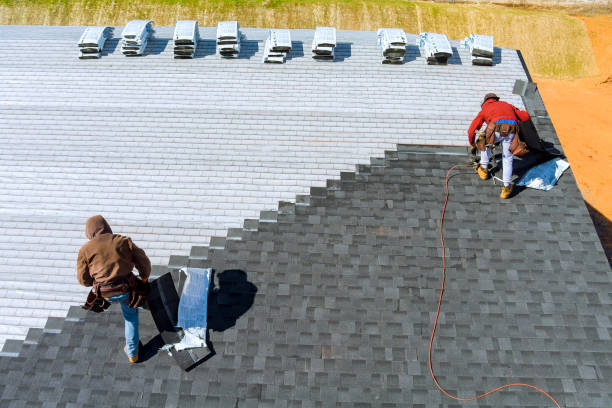 Best Roof Gutter Cleaning  in Forsyth, MT