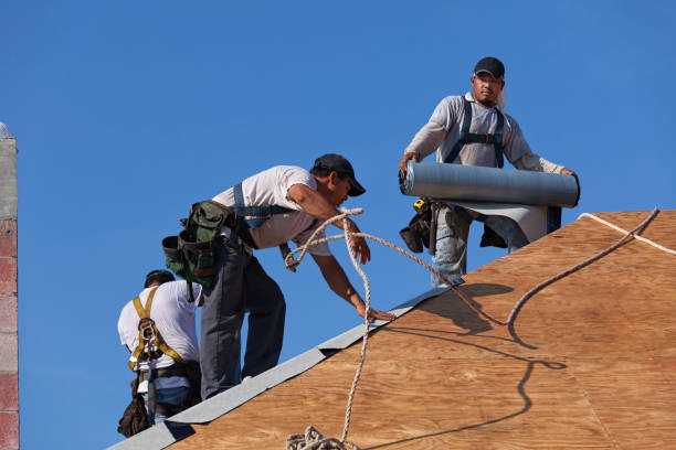 Sealant for Roof in Forsyth, MT